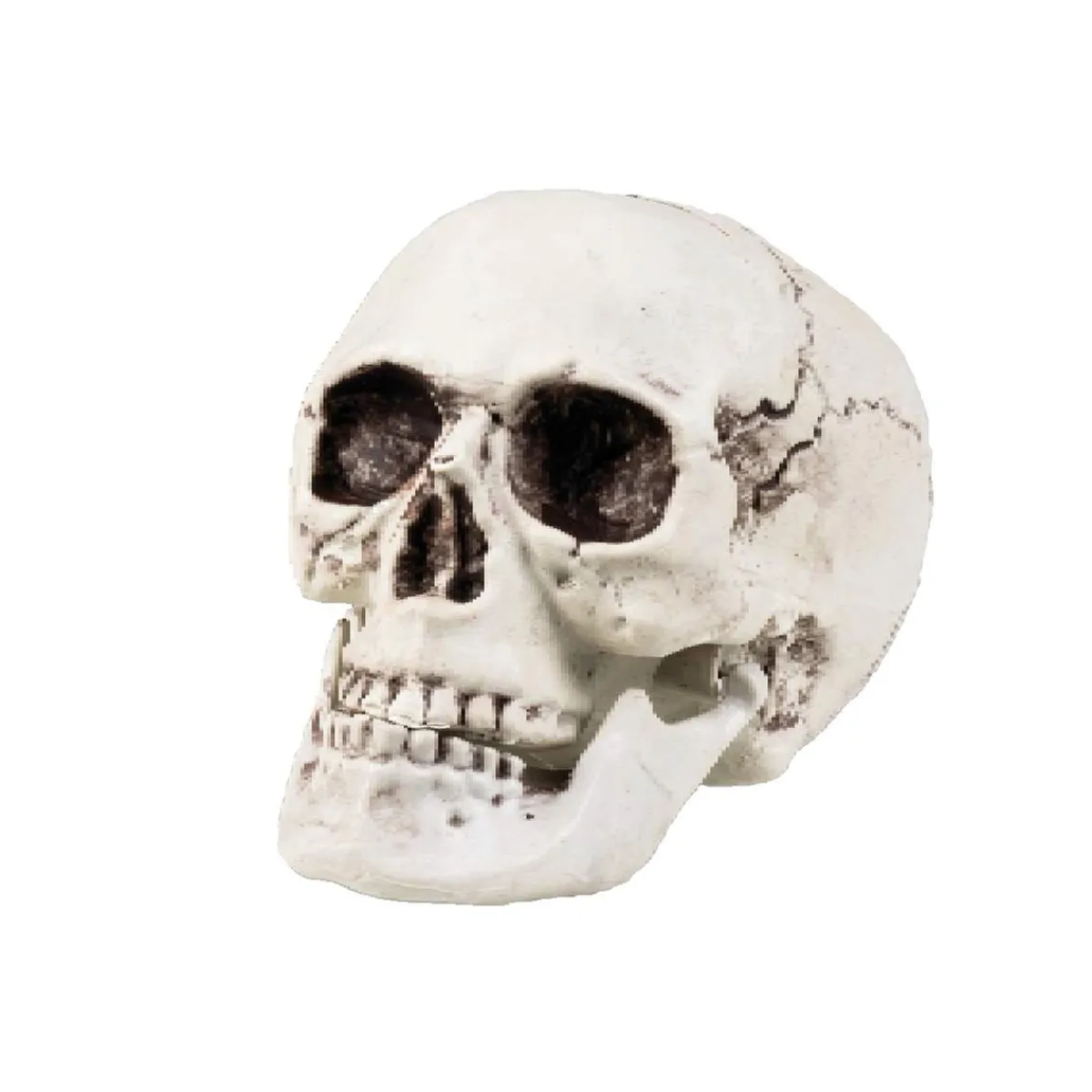 EDUCA BORRAS Disfraces|Halloween*Calavera decorativa Halloween (varios modelos) ㅤ