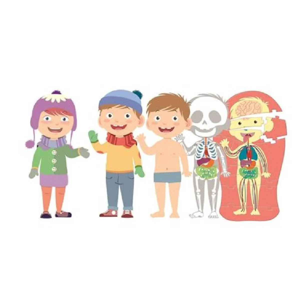 MONTESSORI Juguetes Educativos Y Libros|Juegos Y Puzzles*Clementoni - El Cuerpo Humano