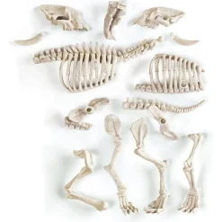 CLEMENTONI Steam*- Juego científico de excavación y montaje Smilodon fosforescente ㅤ