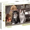 CLEMENTONI Juegos Y Puzzles*- Madagascar - Puzzle 1000 piezas paisaje con gatitos ㅤ