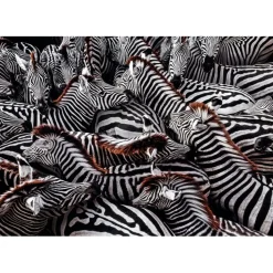 CLEMENTONI Juegos Y Puzzles*- Rompecabezas Paisajes National Geographic 1000 piezas ㅤ