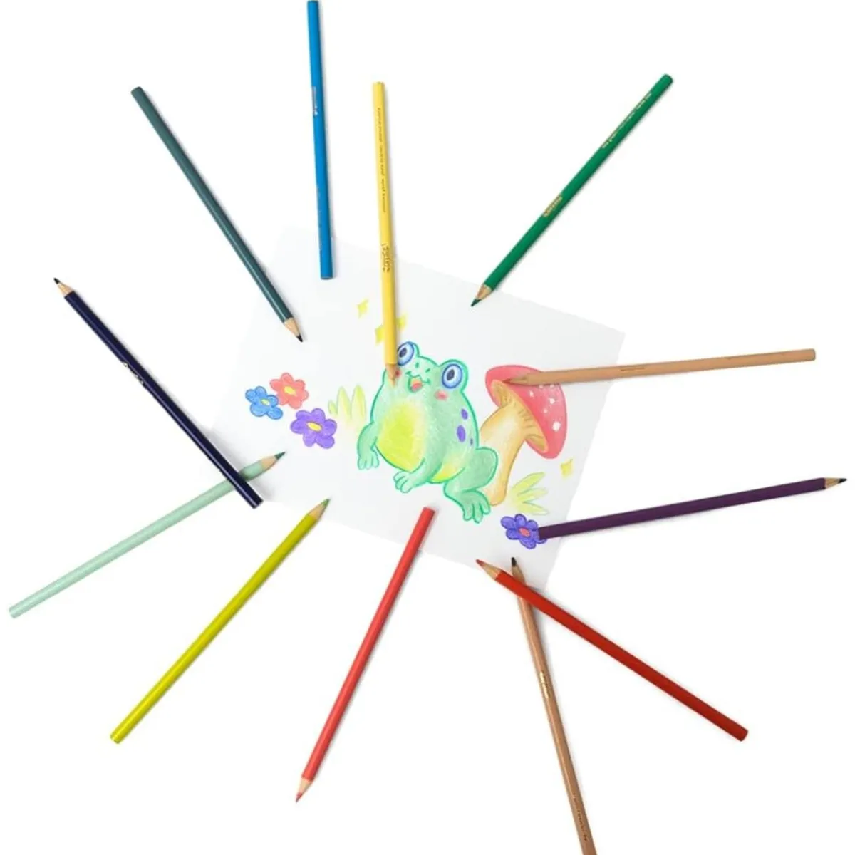 CRAYOLA Arte Y Manualidades*- Lápices de colores pastel de dibujo, caja de 12 colores ㅤ