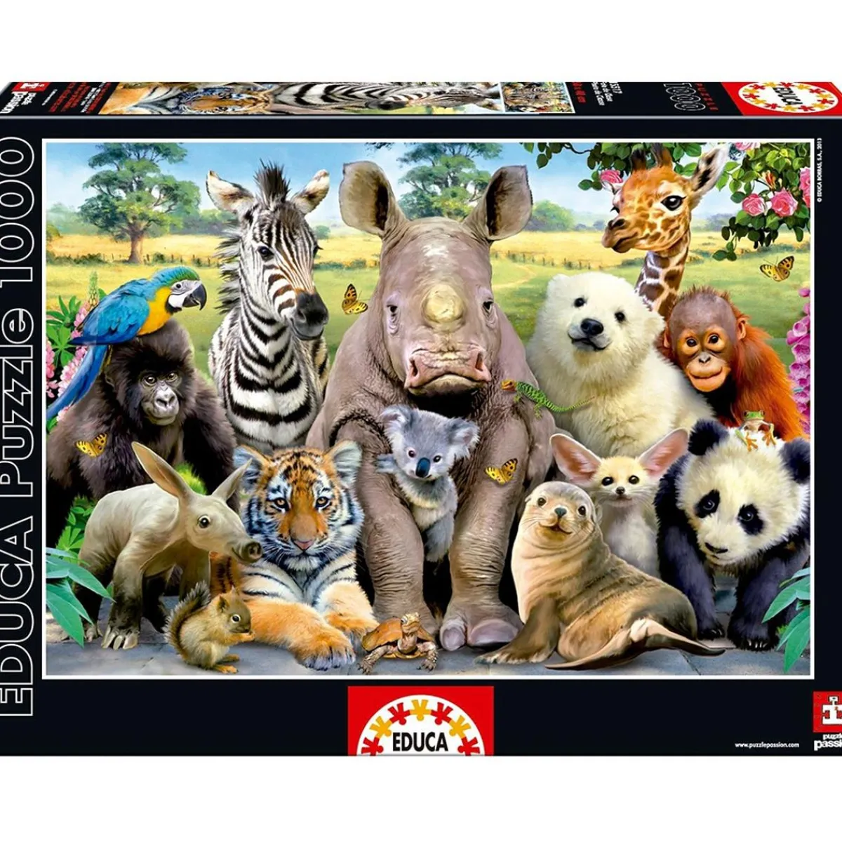 EDUCA Juegos Y Puzzles*Borrás - Puzzle 1000 Piezas - Foto de Clase