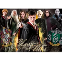EDUCA BORRAS Juegos Y Puzzles*Educa Borrás - Puzzle 1000 piezas Harry Potter