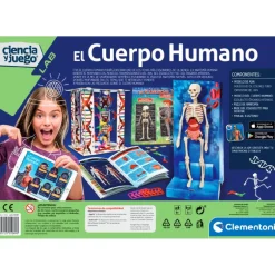 CONCENTRA Steam*El Cuerpo Humano