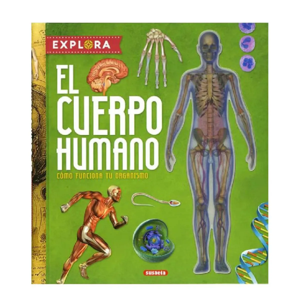 TODO LIBRO Juguetes Educativos Y Libros*Explora el cuerpo humano