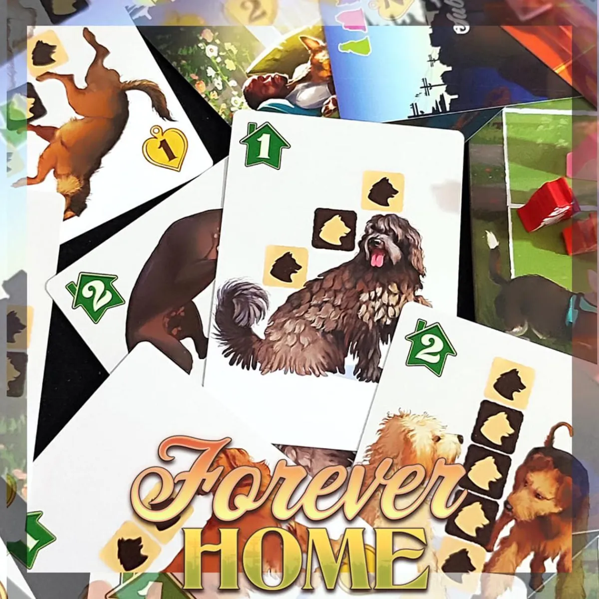 LAST LEVEL Juegos Y Puzzles|Friki Zone*Forever Home