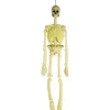 TOYS "R" US Disfraces|Halloween*Guirnaldas decorativas para fiestas y eventos ㅤ
