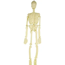 TOYS "R" US Disfraces|Halloween*Guirnaldas decorativas para fiestas y eventos ㅤ