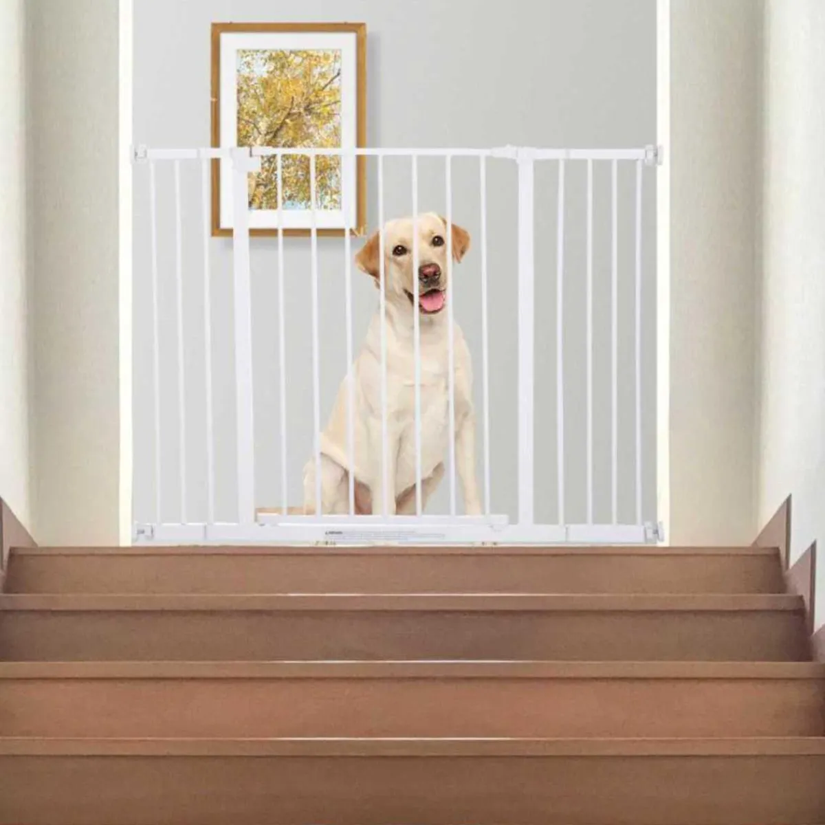 TOYS R US CE Coleccionables Y Mini Mundos*Homcom - Barrera Metálica para perro