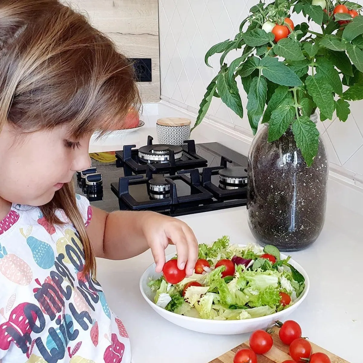 GARDEN POCKET Steam*Kit de cultivo de tomate Cherry orgánico para interior