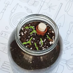 GARDEN POCKET Steam*Kit de cultivo de tomate Cherry orgánico para interior