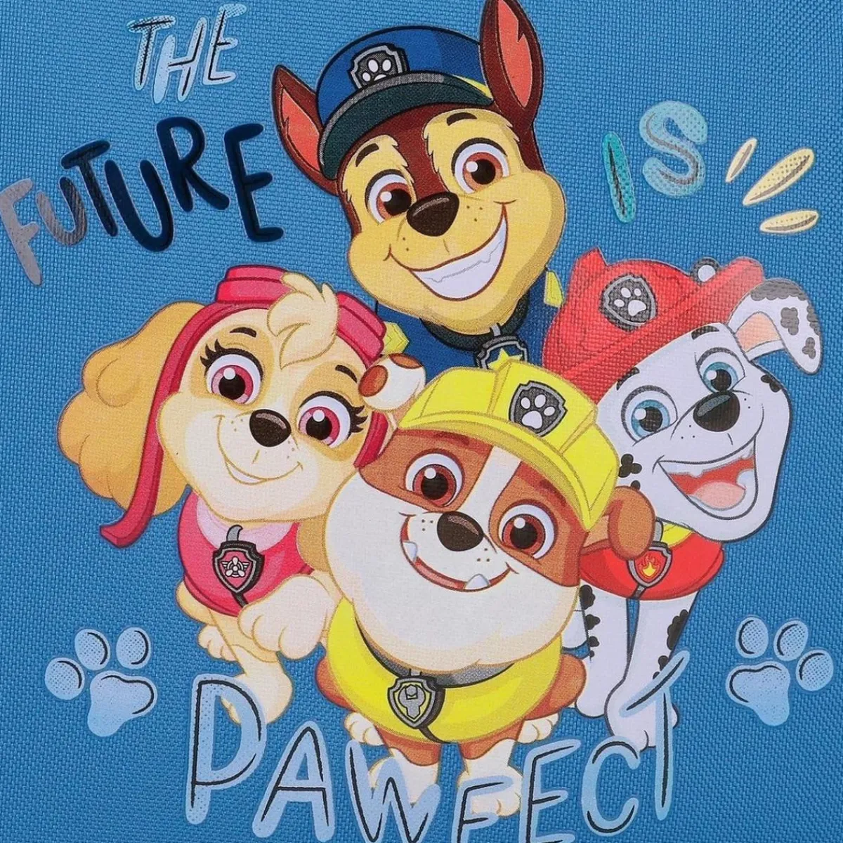 JOUMMA BAGS,S.L Material Escolar*Patrulla Canina - Mochila preescolar 25 cm - The Playful Outdoors