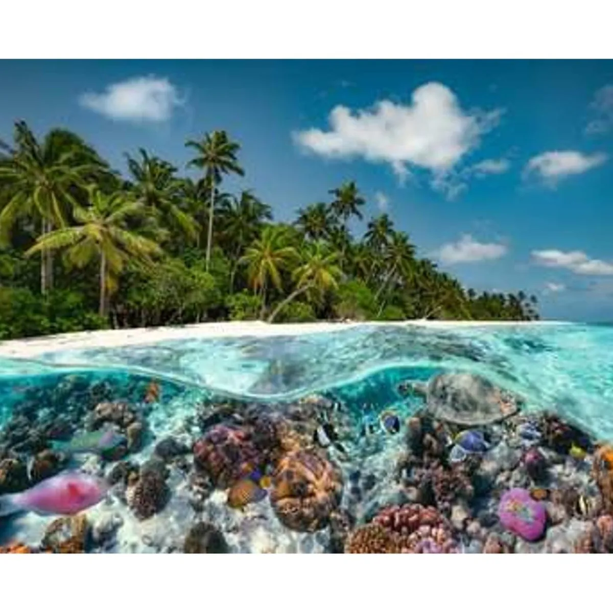 RAVENSBURGER IBÉRICA Juegos Y Puzzles*Ravensburger - Puzzle paisaje de las Maldivas, 2000 piezas ㅤ