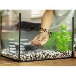 SCHLEICH Coleccionables Y Mini Mundos*- Tortuga Carey