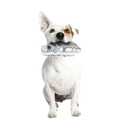 ARTESANIA CERDÁ Coleccionables Y Mini Mundos*Star Wars - Soldado Imperial - Peluche para perros