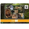 WWF Steam*- Felinos salvajes - Puzzle 1000 piezas