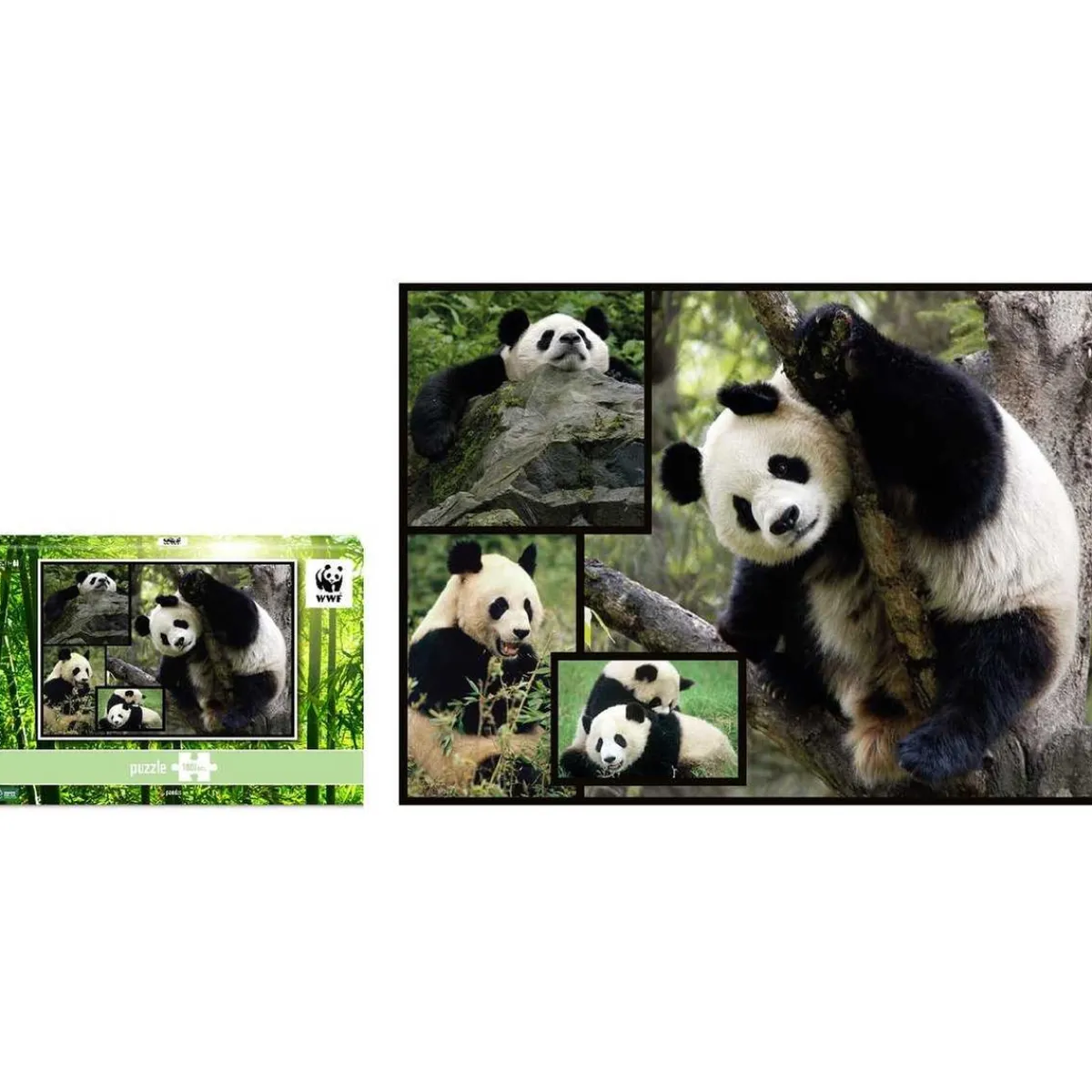 WWF Steam*- Pandas - Puzzle 1000 piezas